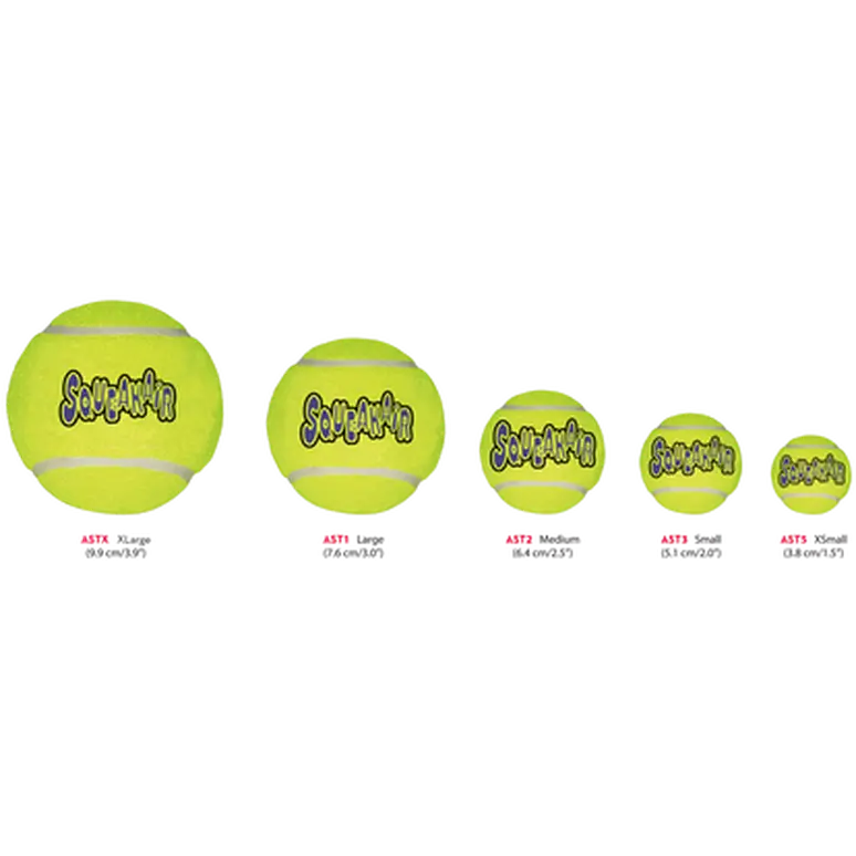 Air Dog Squeakers Tennisbollar