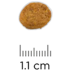 i/d Digestive Care Chicken - Dry Dog Food