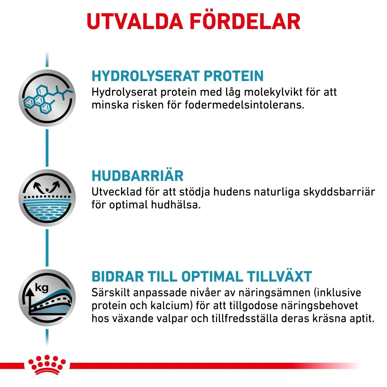 Derma Hypoallergenic Puppy Kuivaruoka pennuille.