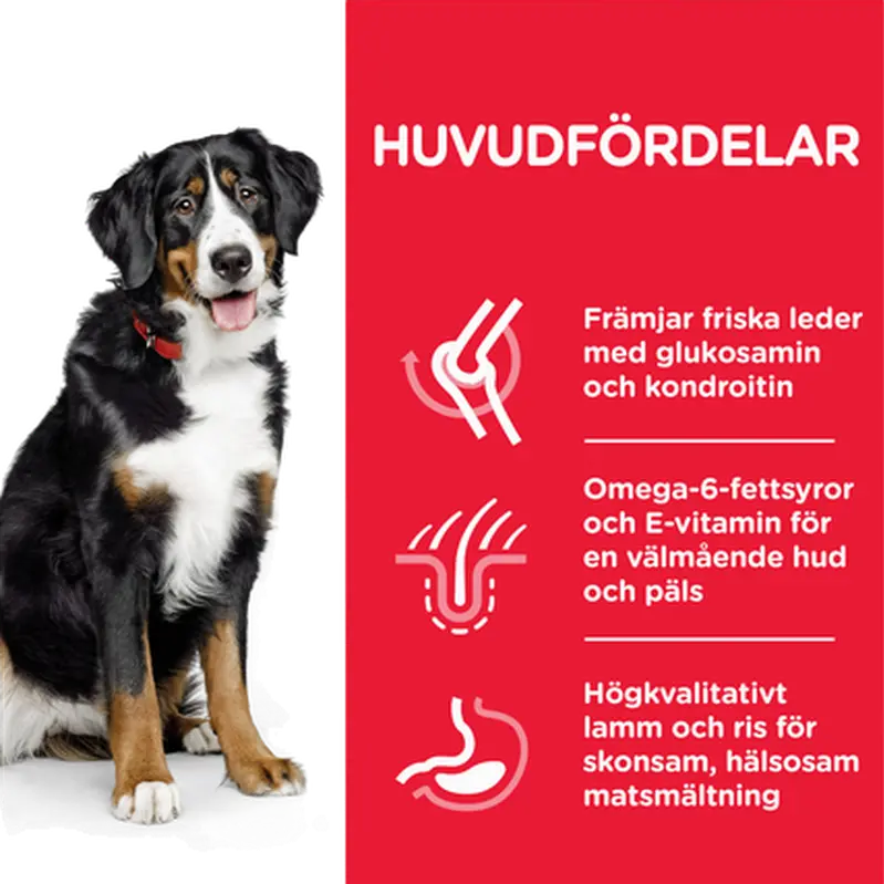 Hill's Science Plan Adult Large Breed Lam & Ris - Tørfoder til hund