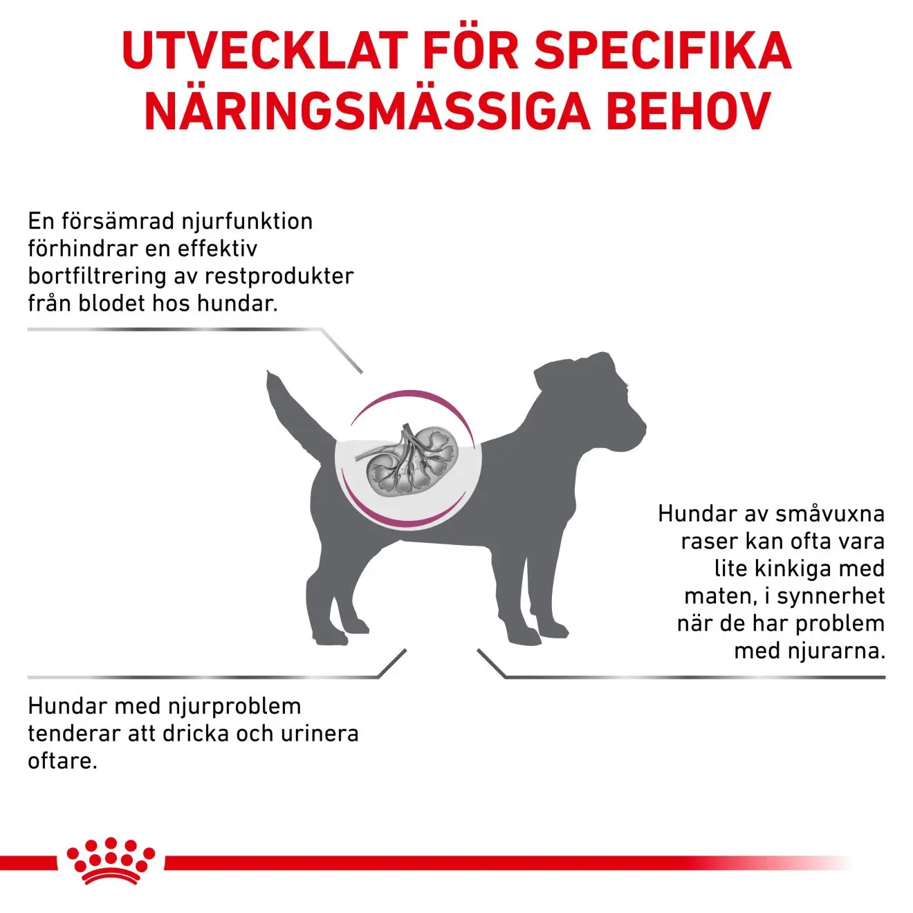 Royal Canin Veterinary Diets Renal Small Dog