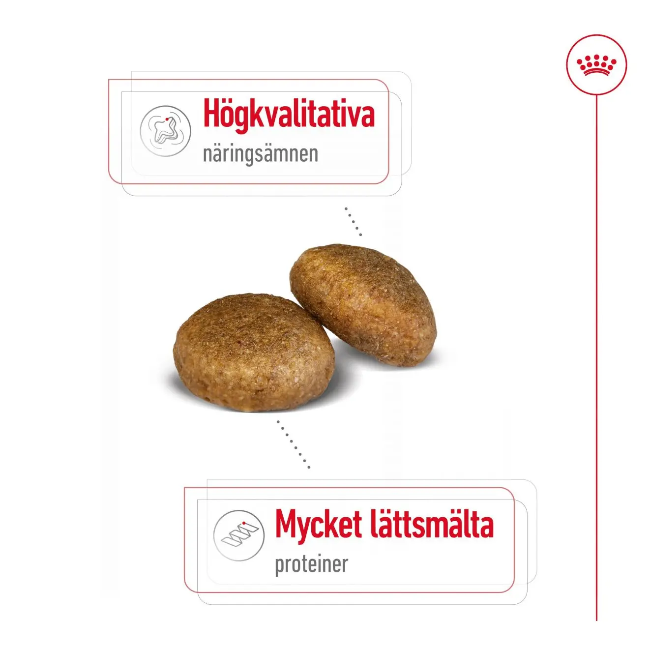 Maxi Adult kuivaruoka aikuisille suurille koirille