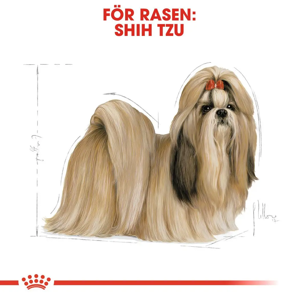 Shih Tzu Adult Kuivaruoka koirille
