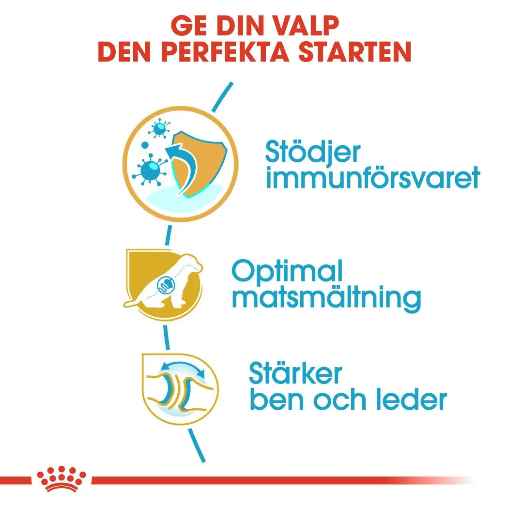 Saksanpaimenkoiran pennun kuivaruoka pennuille
