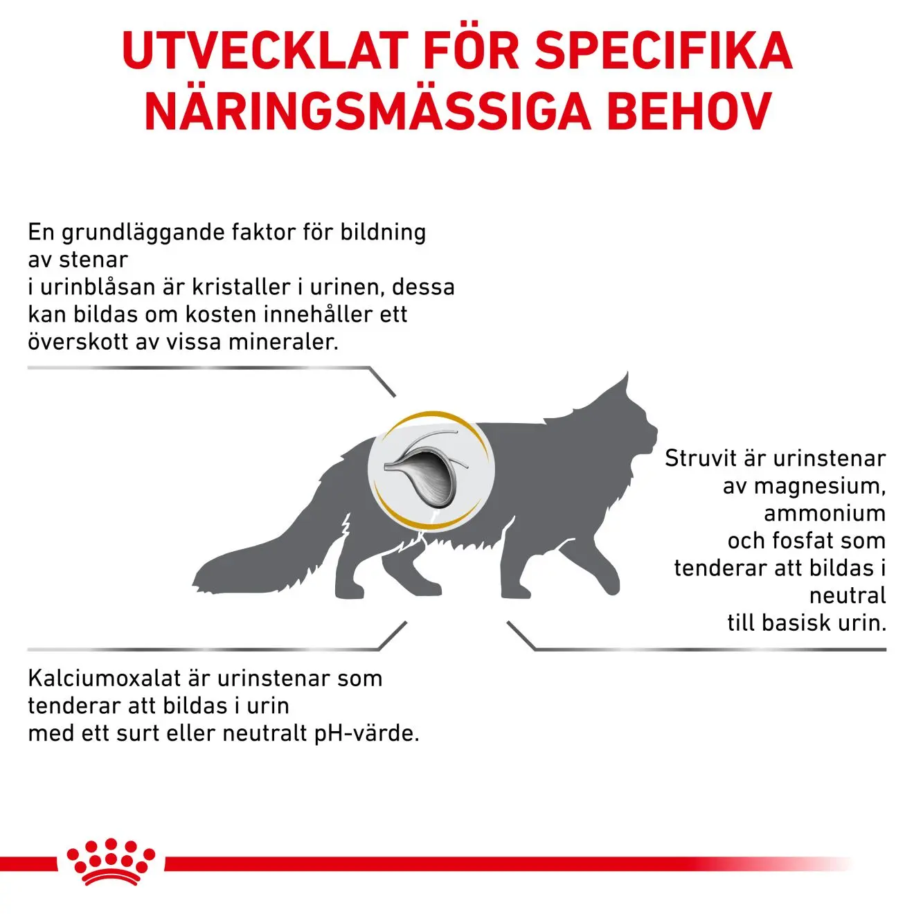 Urinary S/O Torrfoder för katt