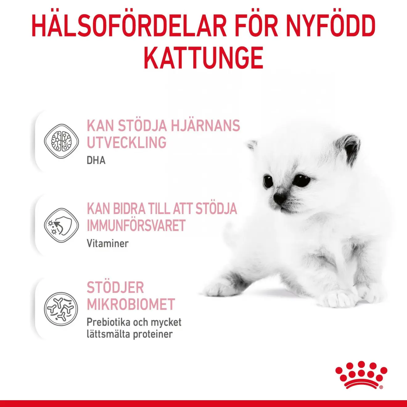 Babycat Milk Starter maito kissanpennulle