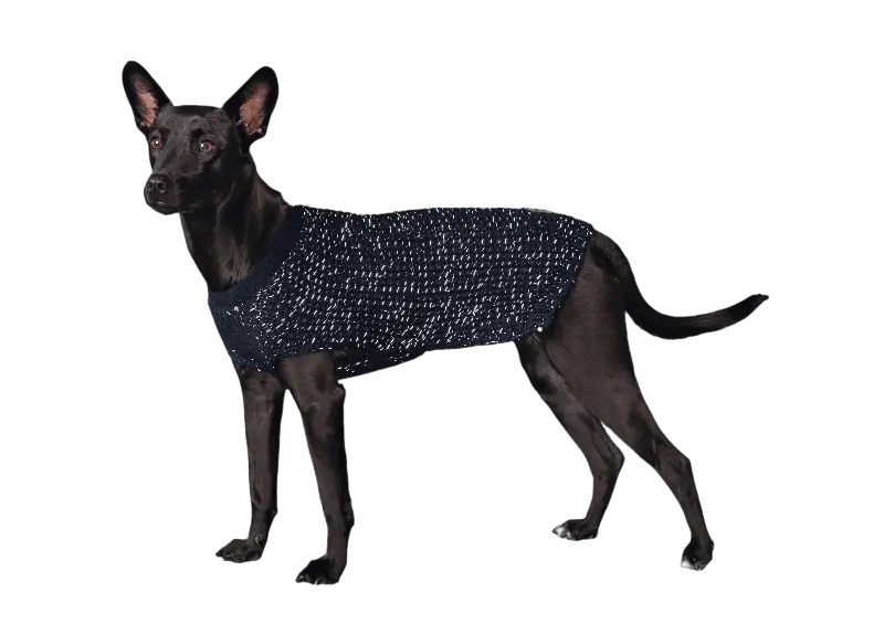 Pullover Finja - Reflekterande Hundtröja Brun