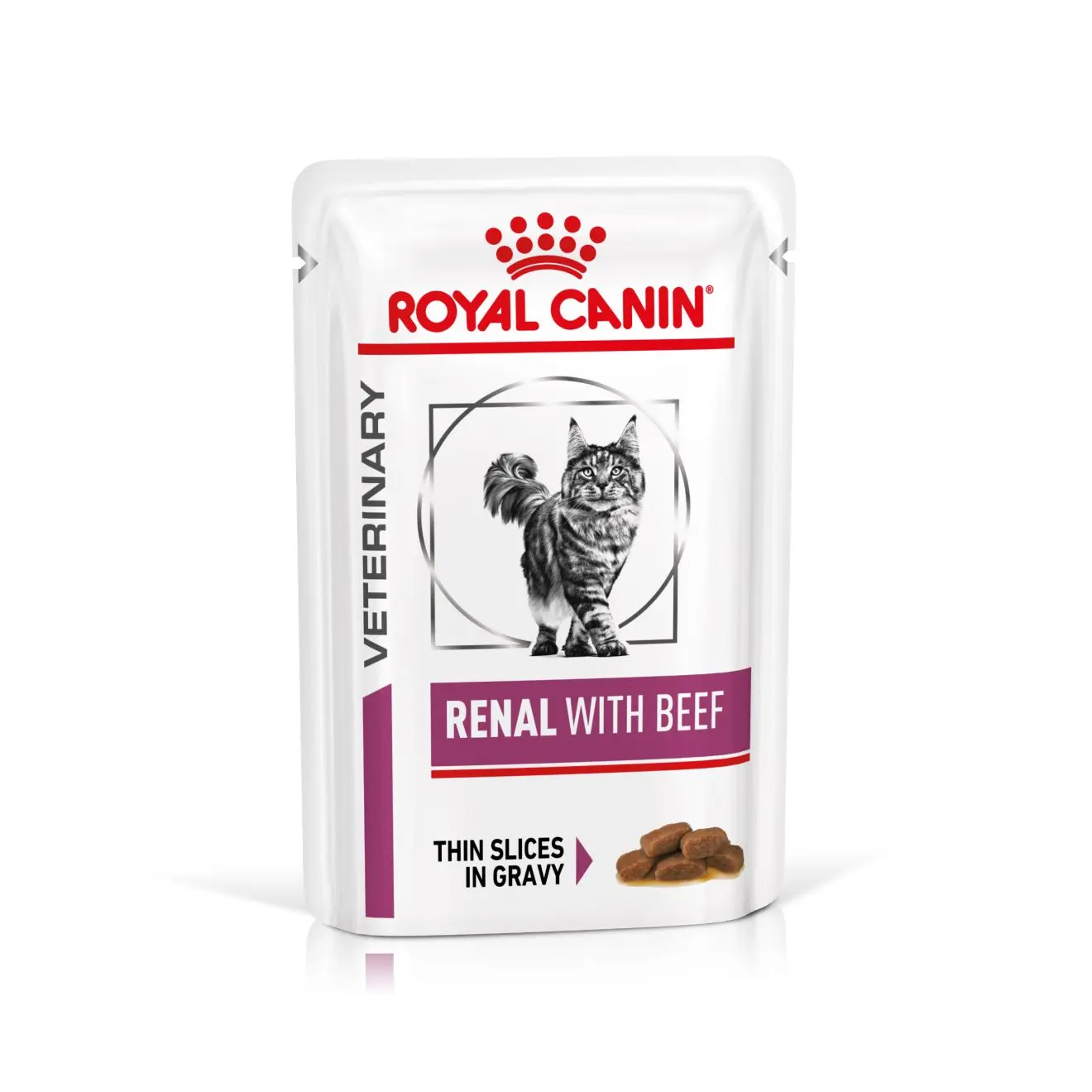 Renal kissan märkäruoka