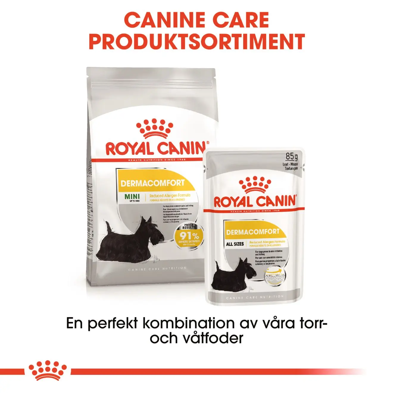 Dermacomfort Mini kuivaruoka koirille
