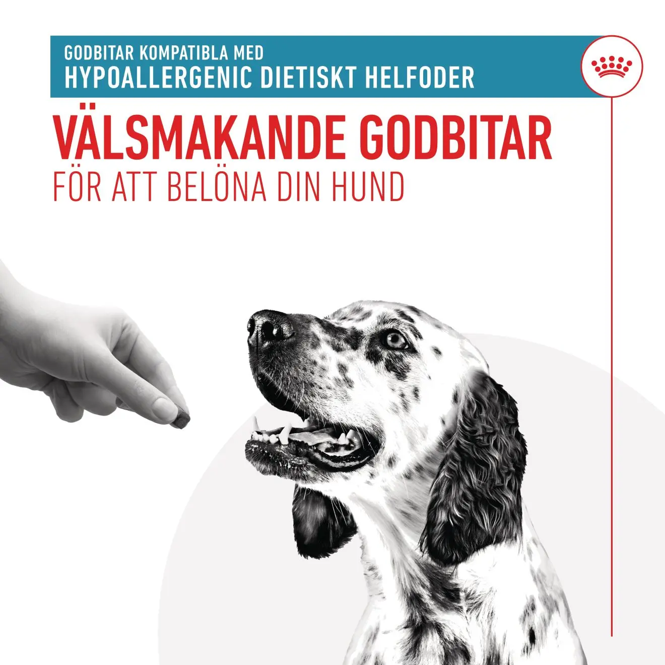 Royal Canin Veterinary Hypoallergenic Treats – godbidder til allergiske hunde
