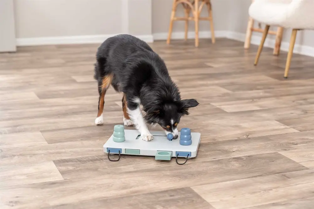 Trixie Move2Win Hjernetrim til Hund – Aktivitetslegetøj Niveau 3