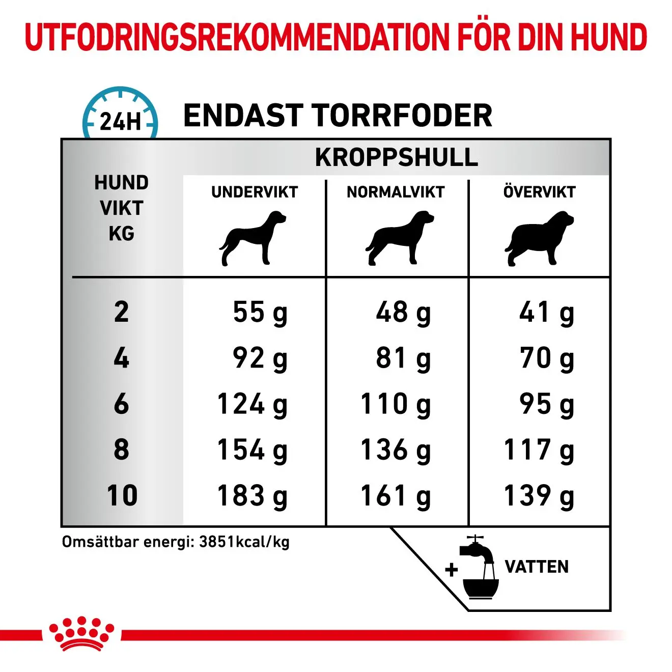 Derma Anallergenic Small Dog kuivaruoka koirille