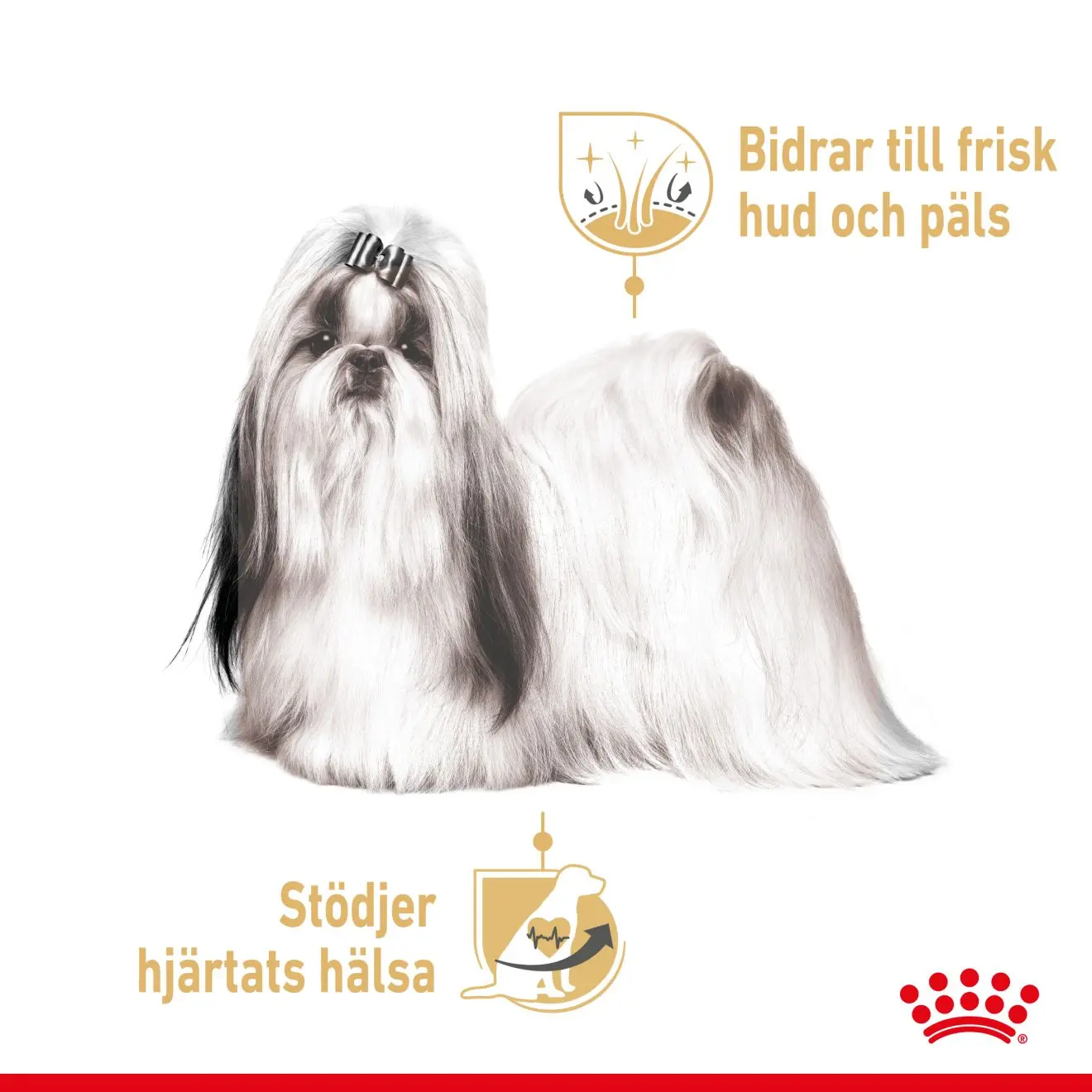 Shih Tzu Adult våtfôr for hunder