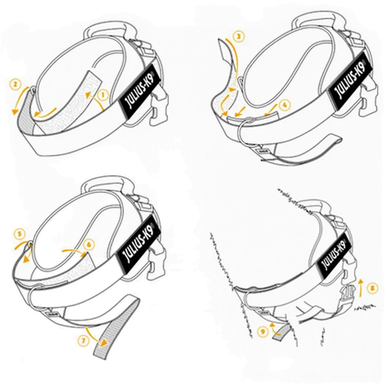 Front Control Y Belt With D-ring for Powerharness