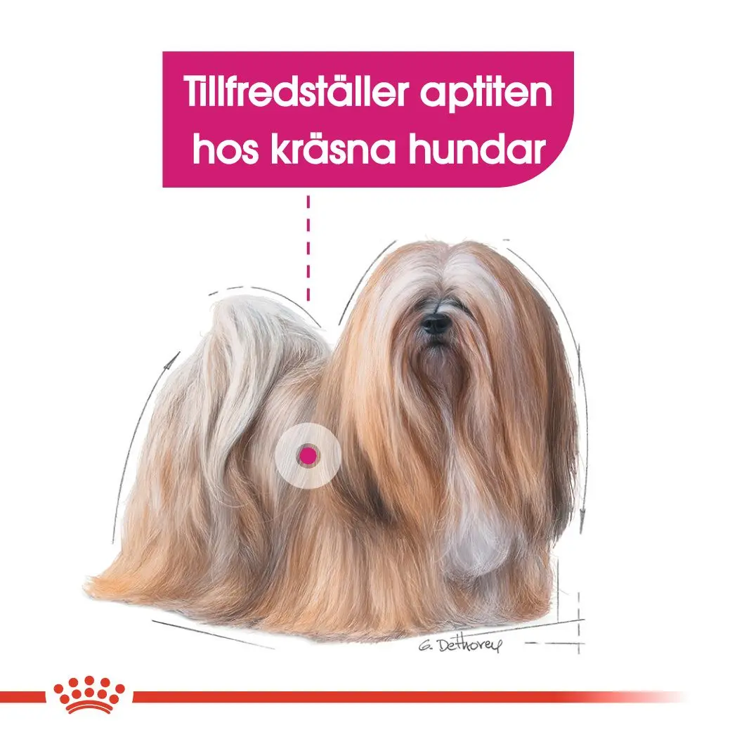 Koko Mini Exigent Kuivaruoka koirille