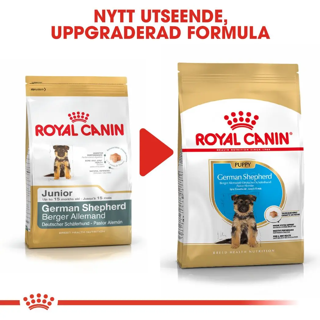 Saksanpaimenkoiran pennun kuivaruoka pennuille