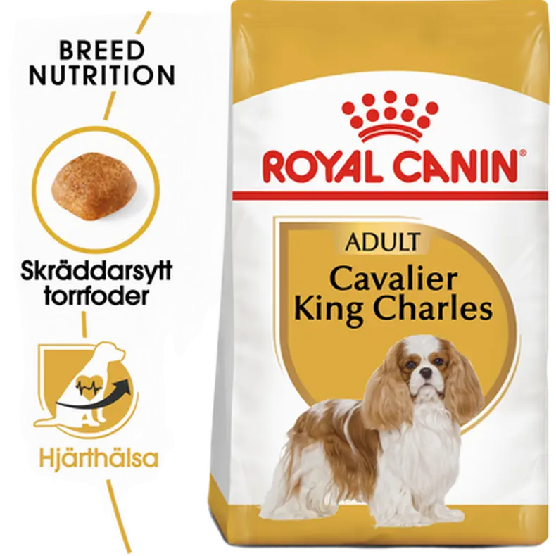 Cavalier King Charles Adult Kuivaruoka koirille