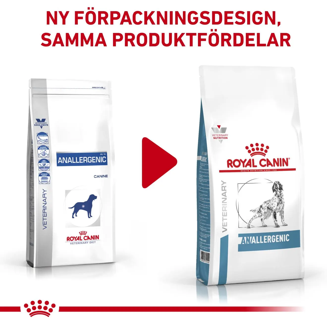 Anallergenic kuivaruoka koirille - ruoka-aineallergiaan