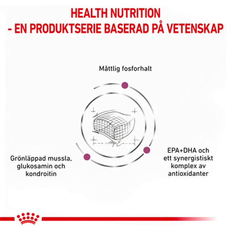 Vital Early Renal kissan kuivaruoka