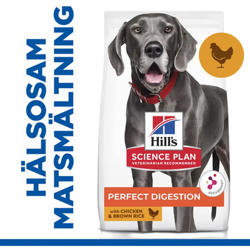 Adult Perfect Digestion Large Chicken & Rice - Dry Dog Food