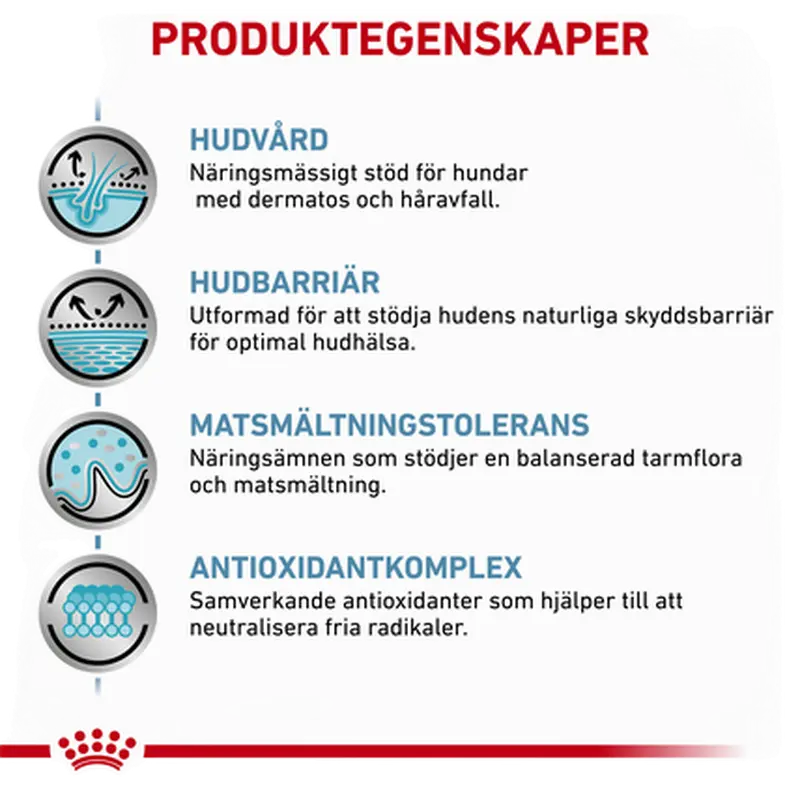 Derma Skin Care kuivaruoka koirille