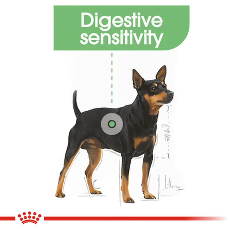 Digestive Care Adult Mini kuivaruoka koirille