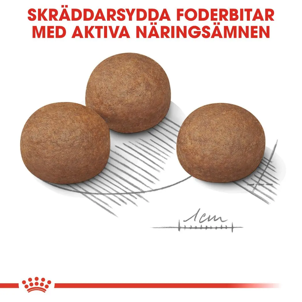 Digestive Care Adult Maxi kuivaruoka koirille