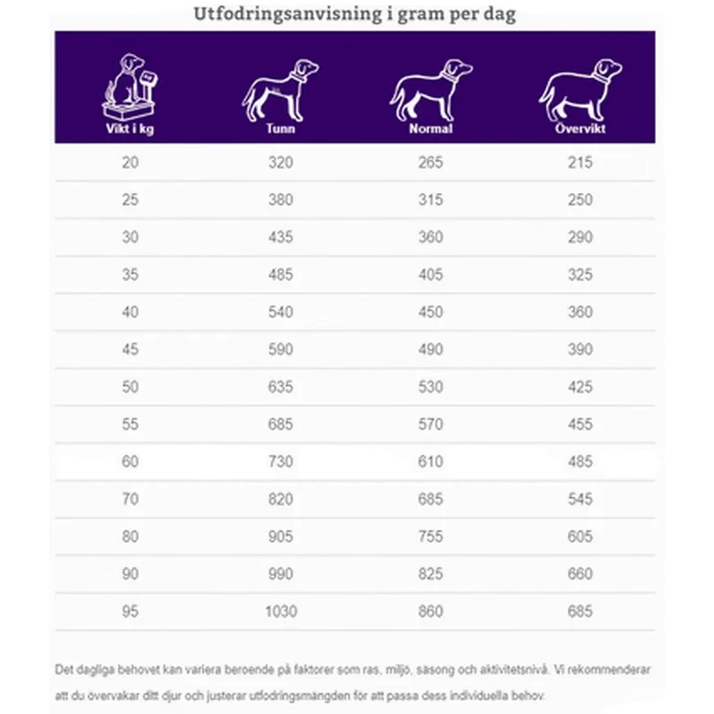 Dogs CGD-XL Senior Large & Giant Breed