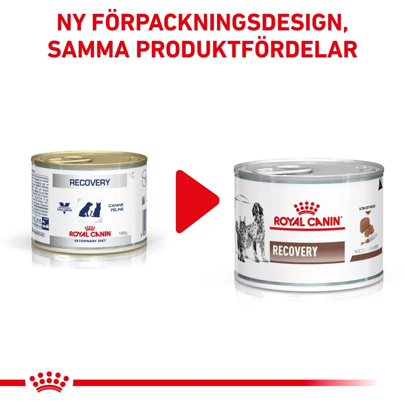 Gastrointestinal Recovery Ultra Soft Mousse Märkäruoka kissoille ja koirille