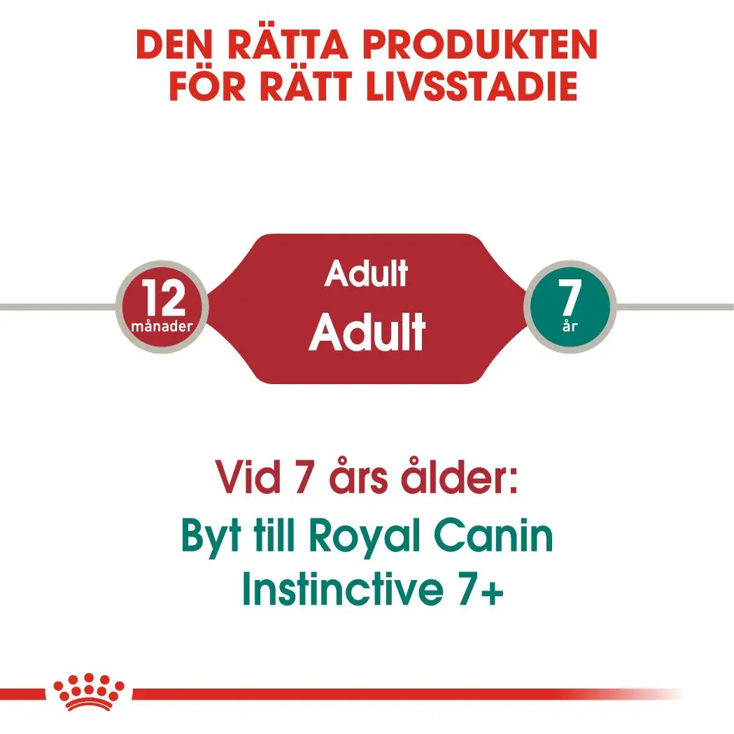 Instinctive Adult kissan märkäruoka hyytelössä