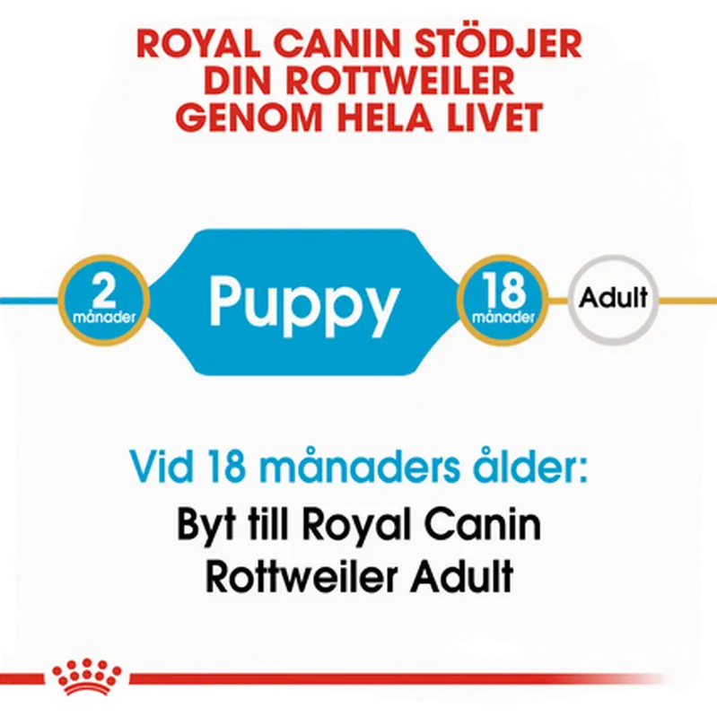 Rottweiler Puppy Kuivaruoka pennuille
