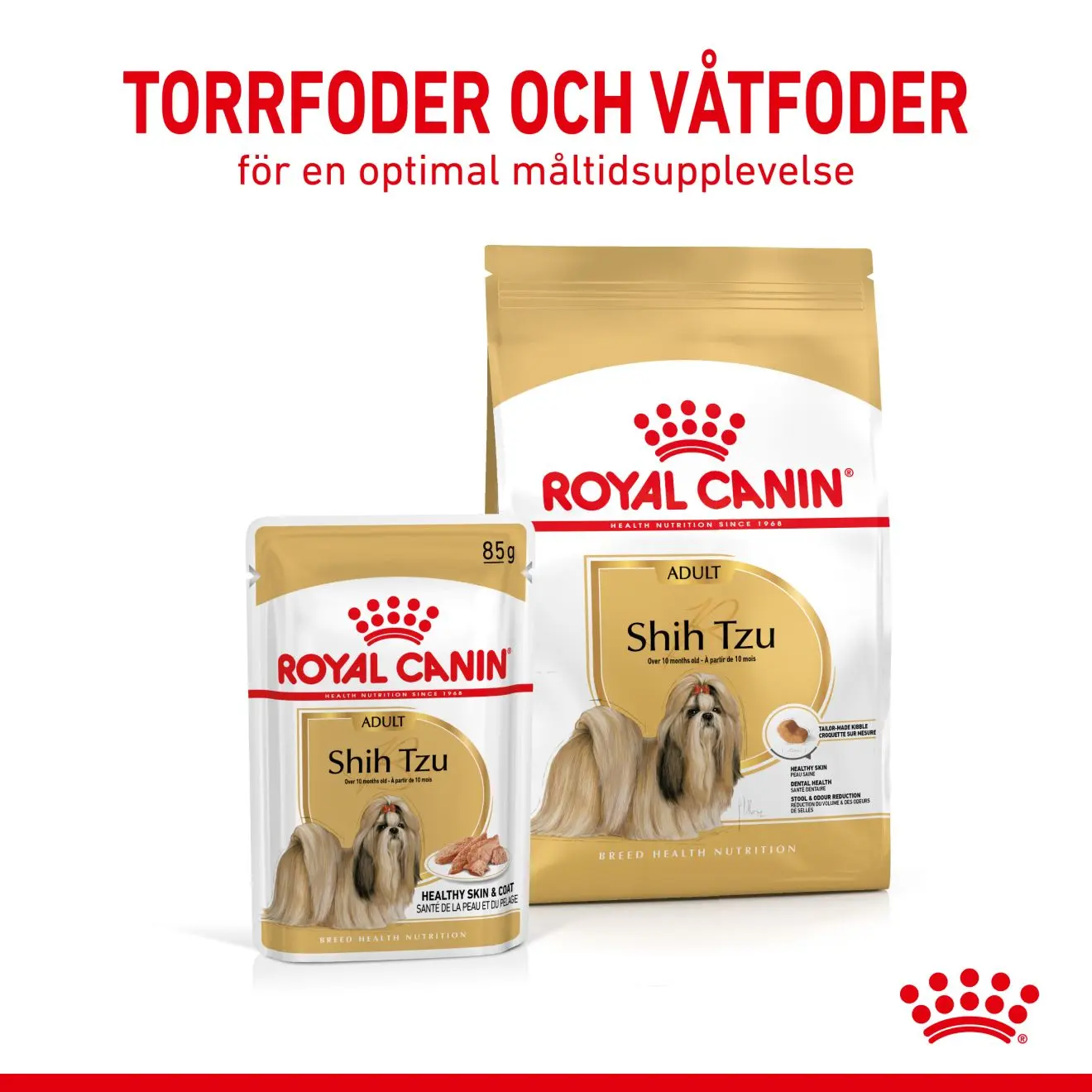 Shih Tzu Adult våtfôr for hunder