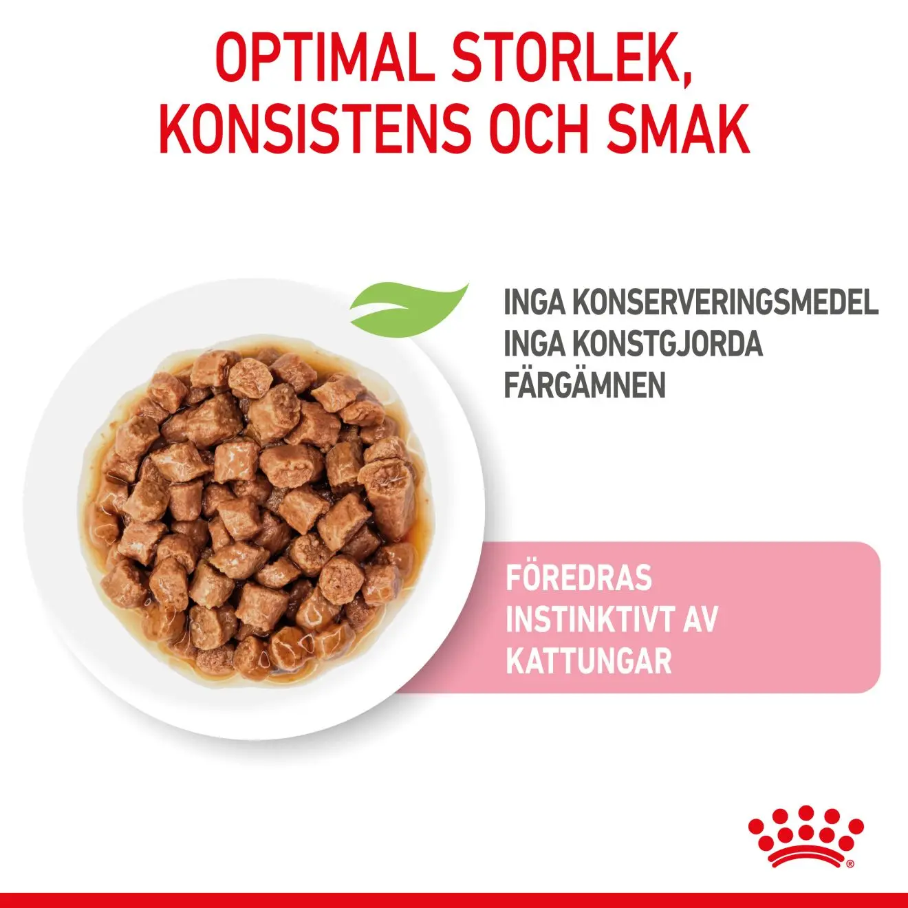 Kitten Gravy kissanpennun märkäruoka