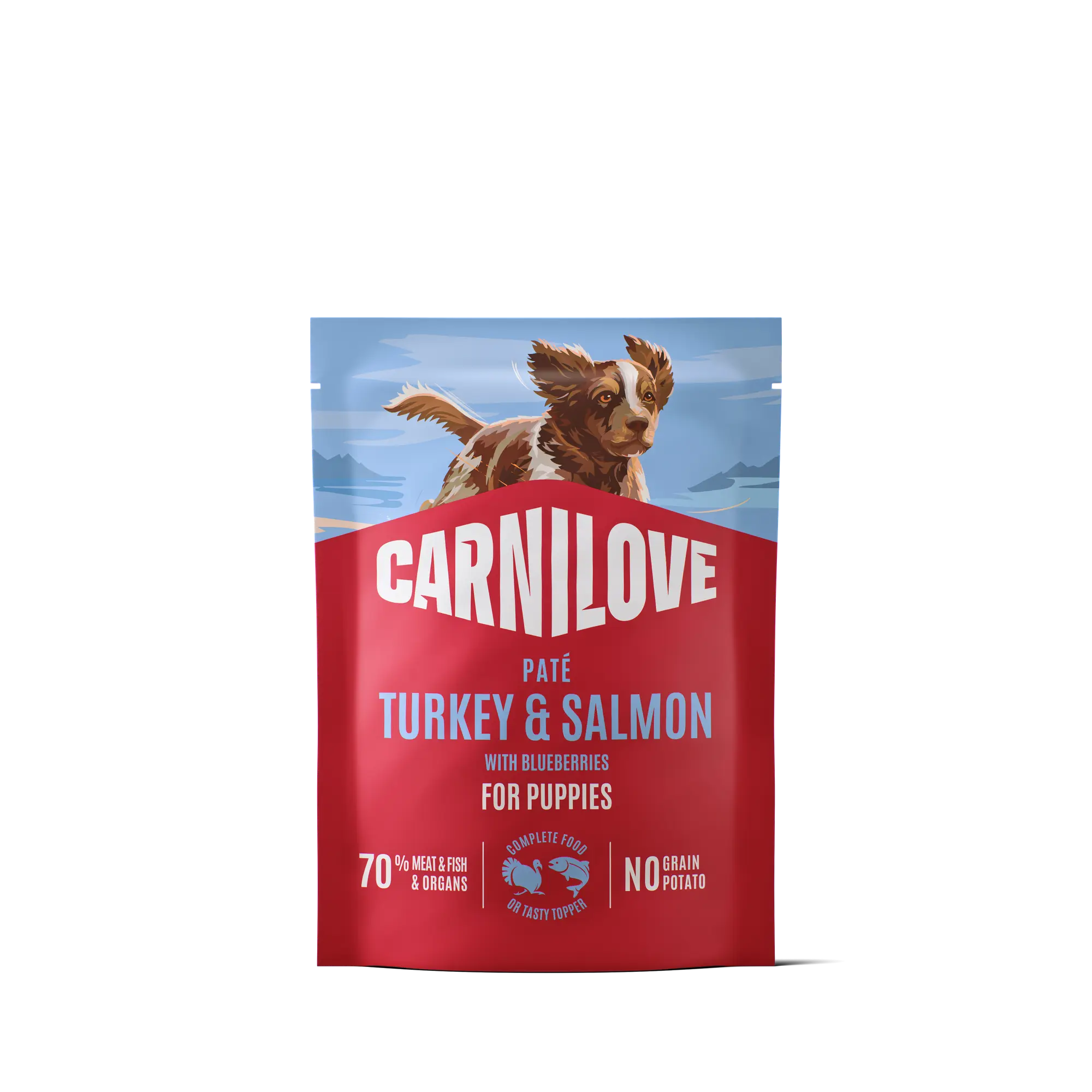 Dog Pouch Paté Turkey & Salmon with Blueberries for Puppies 300g