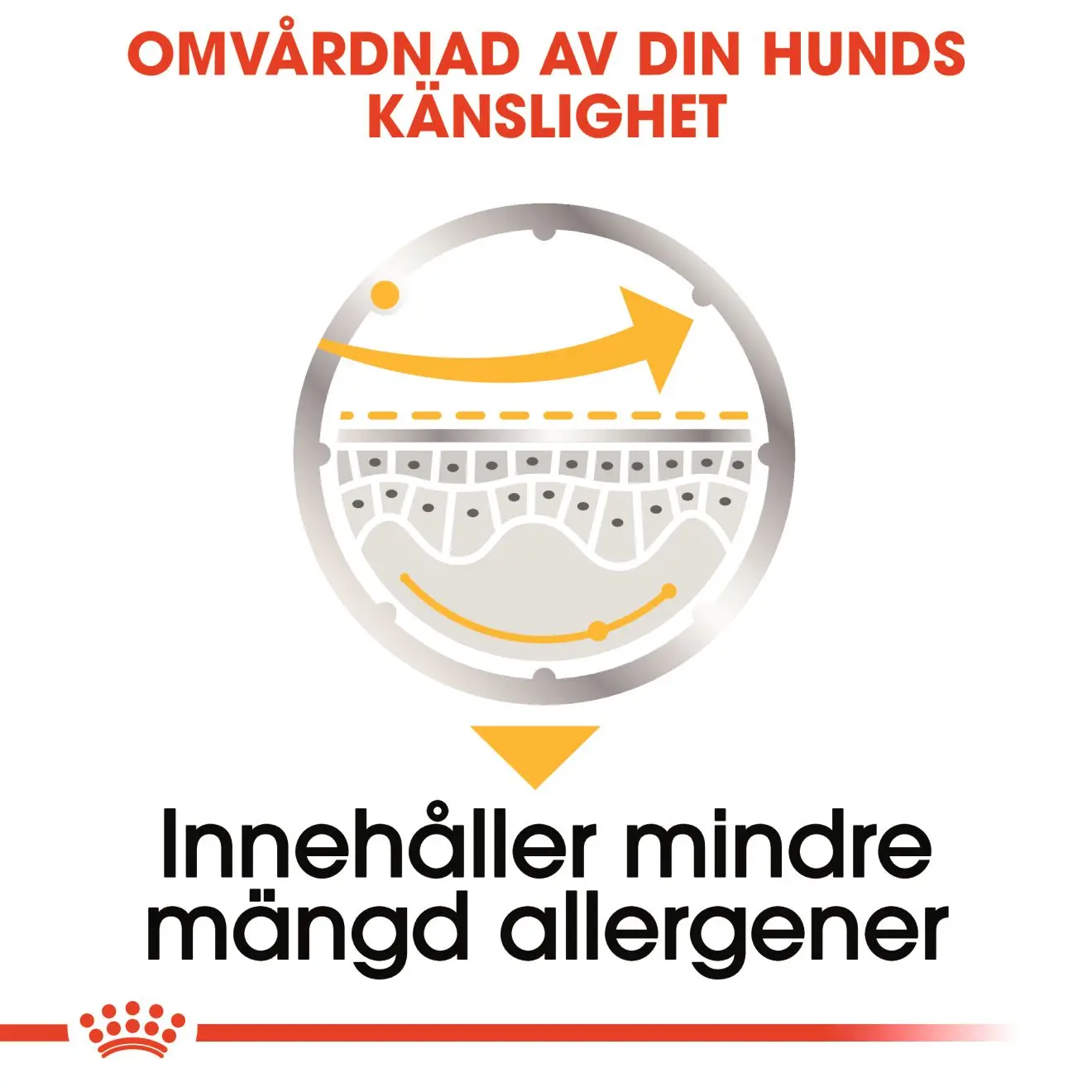 Dermacomfort Wet Märkäruoka koirille