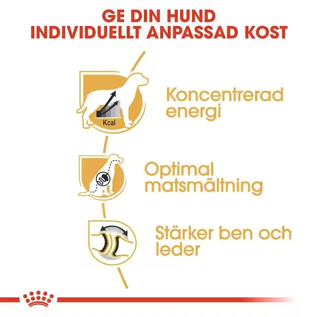 Royal Canin Great Dane Adult – torrfoder för vuxna grand danois