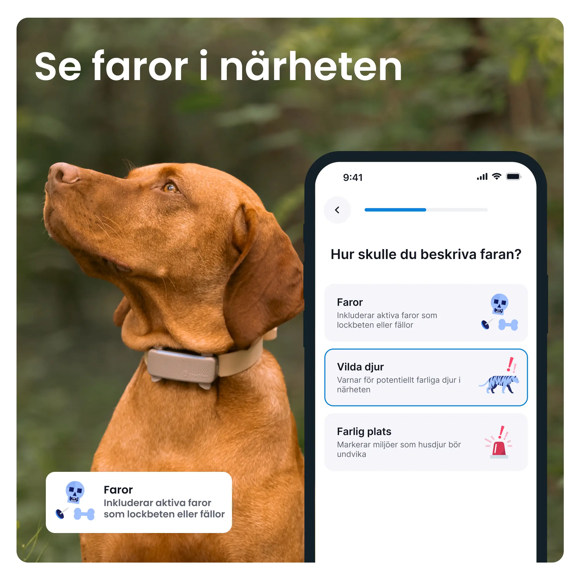 GPS-paikannin koiralle Koira 6 - ruskea