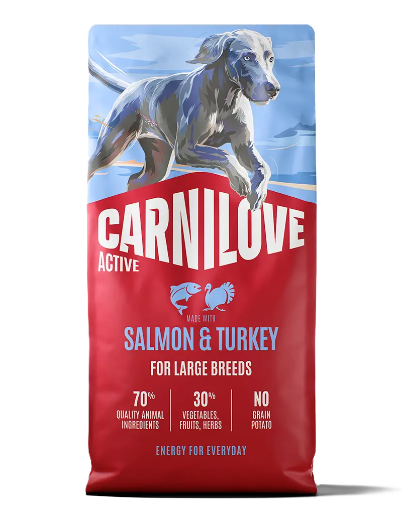 Active Dog Laks & Kalkun for voksne hunder av store raser 4 kg