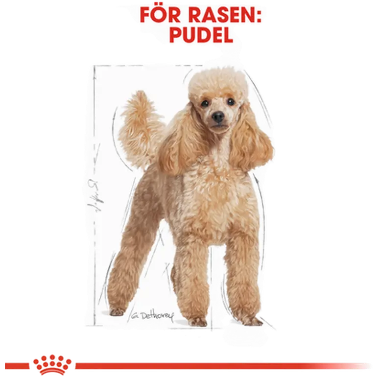 Poodle Adult Dry food koirille