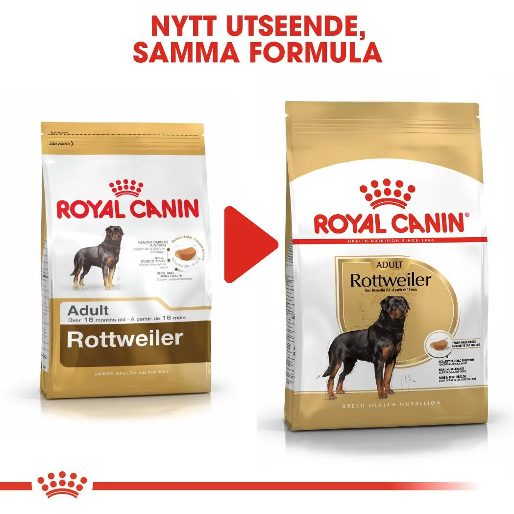 Rottweiler Adult Dry food koirille