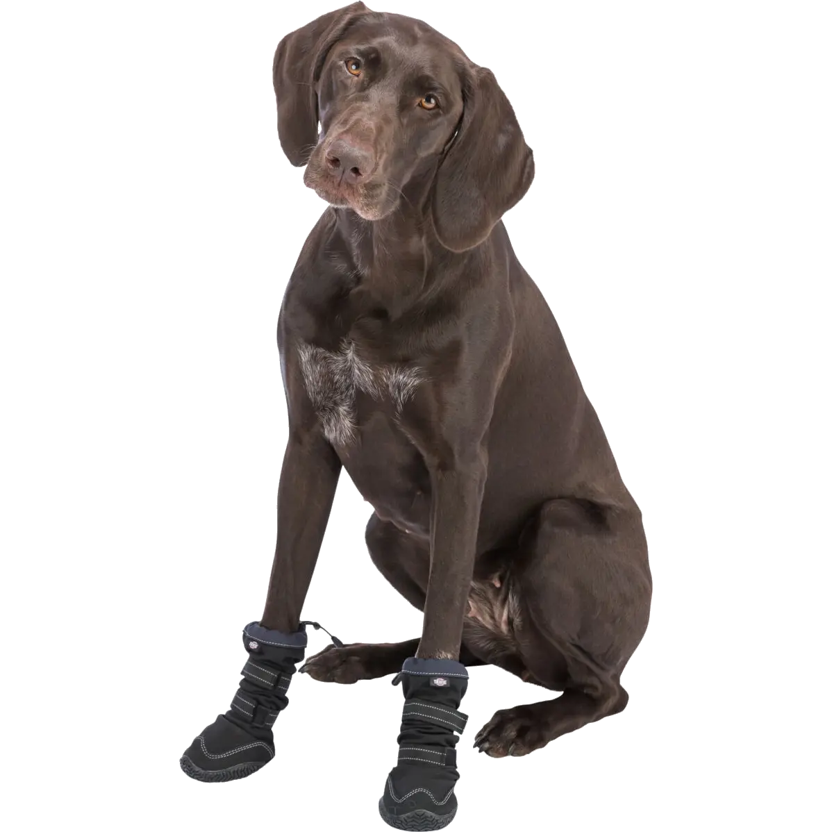 Paw Protection Walker Active Long