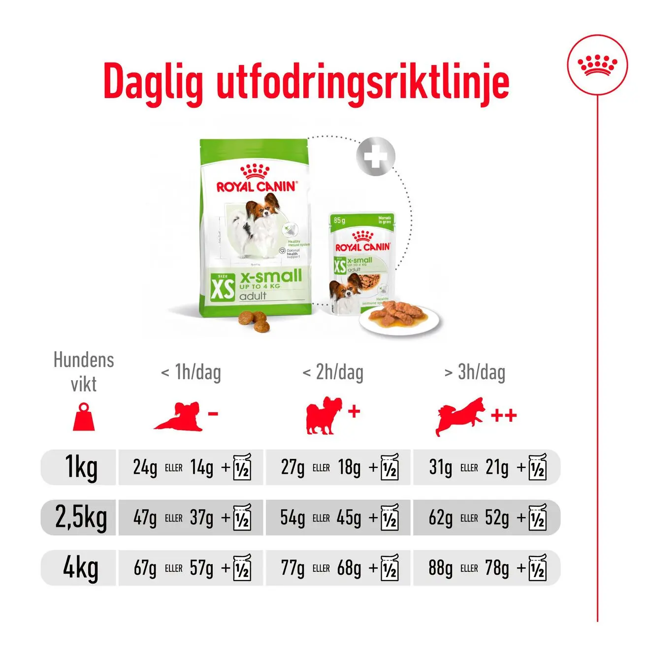 X-Small Adult Dry food koirille