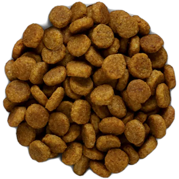 Derm Defense Skin Care Chicken - Dry Dog Food