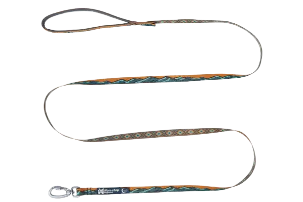 Trail quest leash Rachel Pohl edition 15mm/2m teal/oak