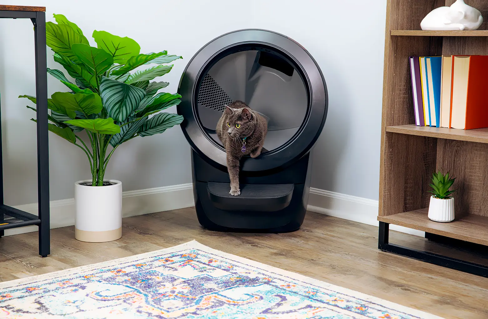 Litter-Robot 4 Självrengörande Kattlåda, svart