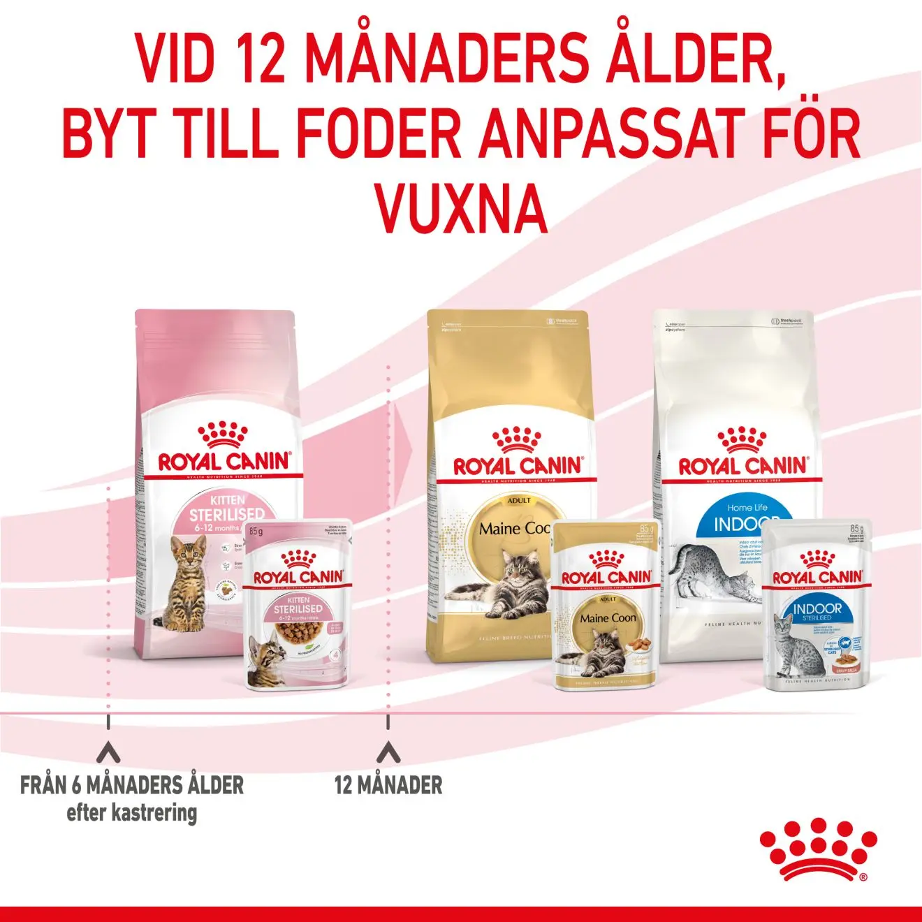 Kitten Sterilised Gravy Våtfoder för kattunge