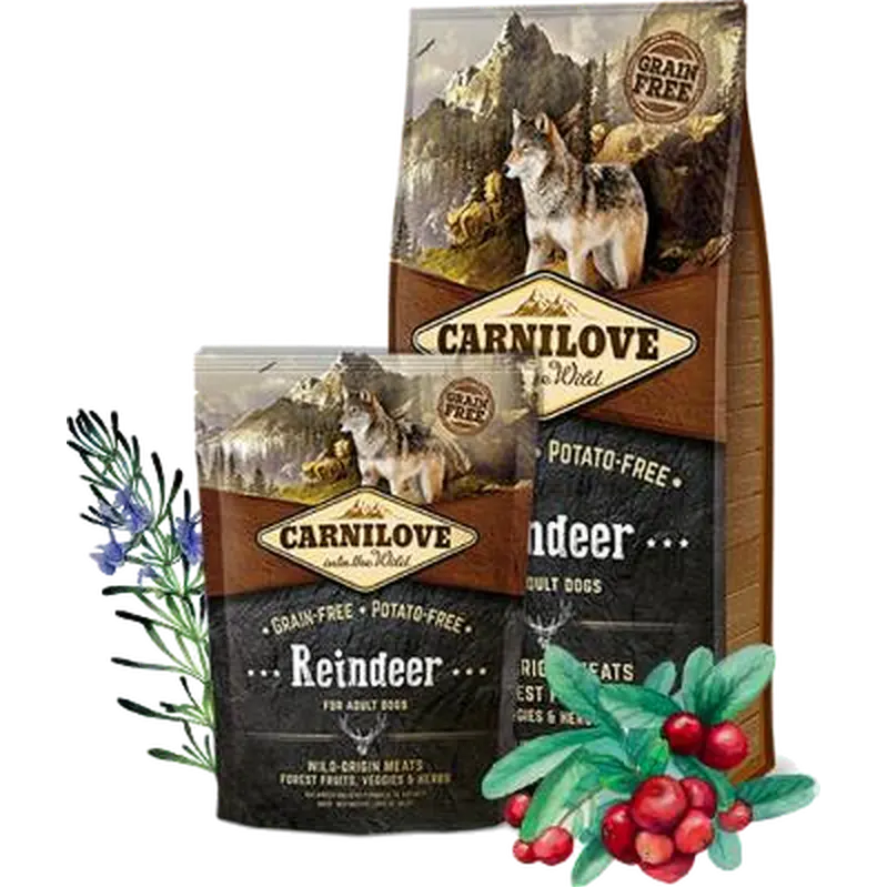 Dog Adult Reindeer
