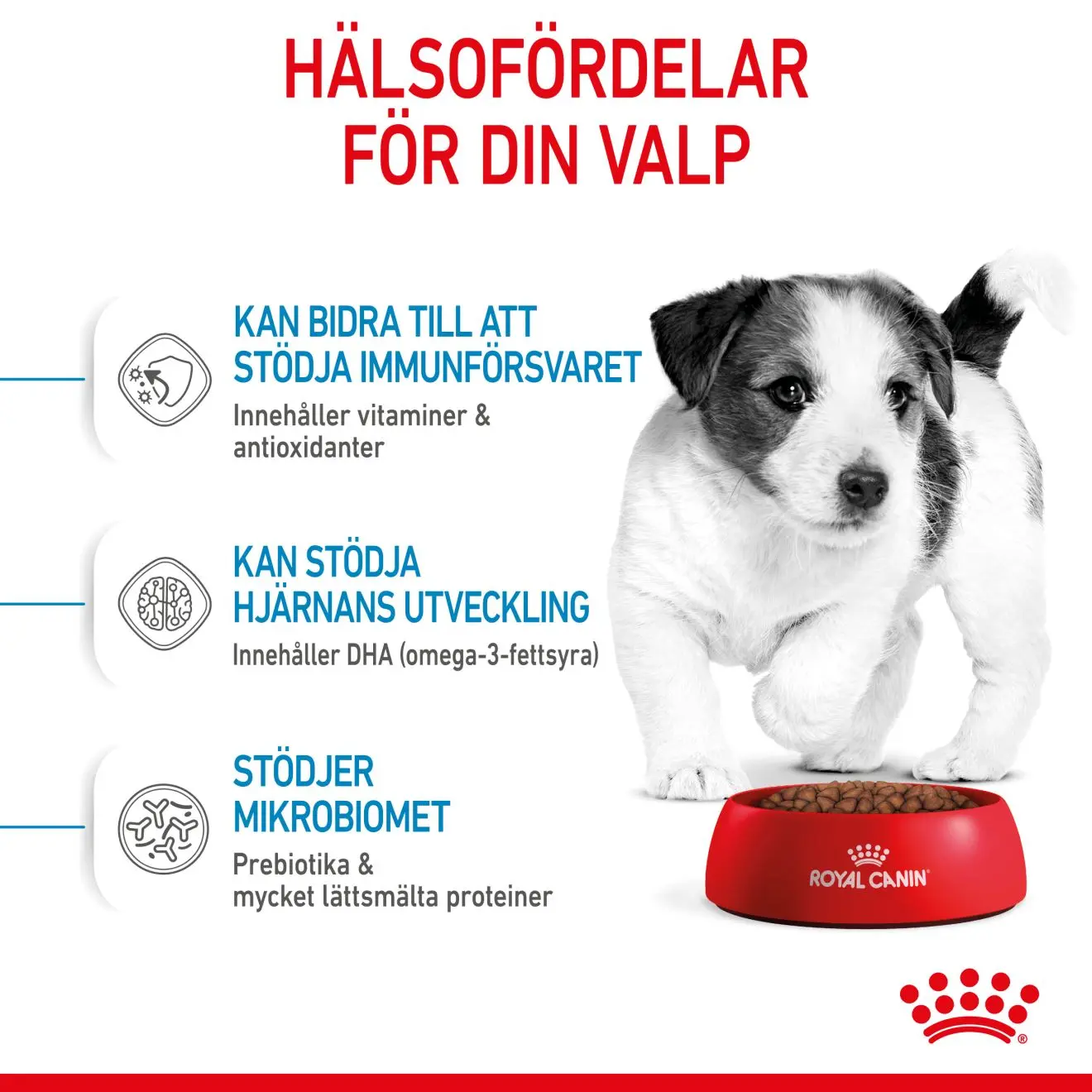 Mini Puppy Torrfoder för hundvalp