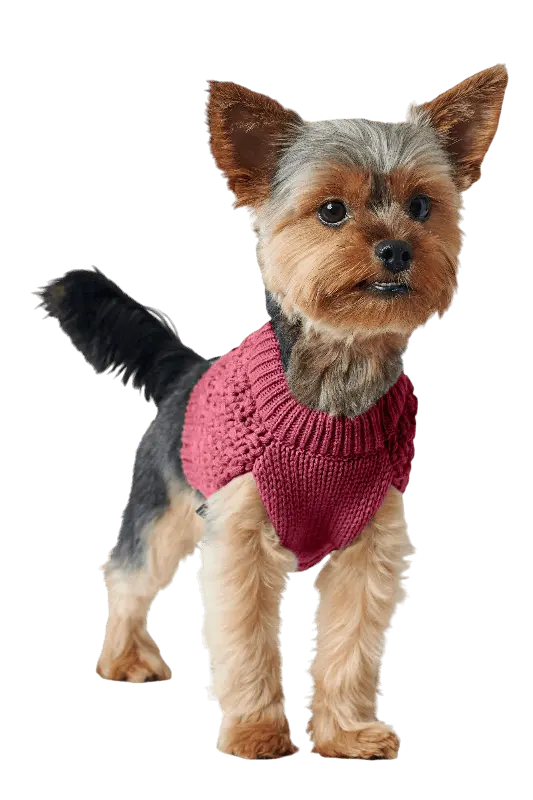Hundegenser Malmö