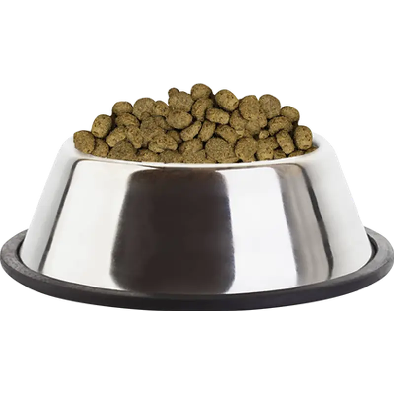 Dog Vet Diets Intestinal Adult